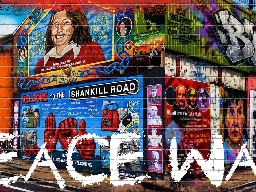 Belfast's Peace Walls Walking Tour: From Divis Tower to Bobby Sands